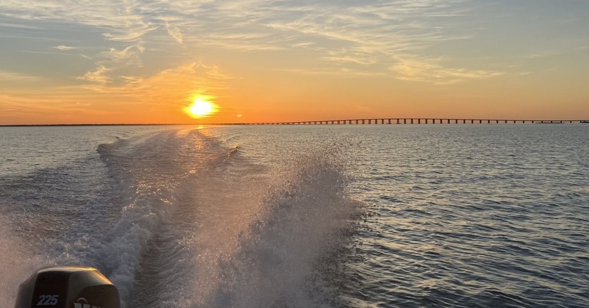 Coastal Conservation and Restoration Ecology Lab tweet media
