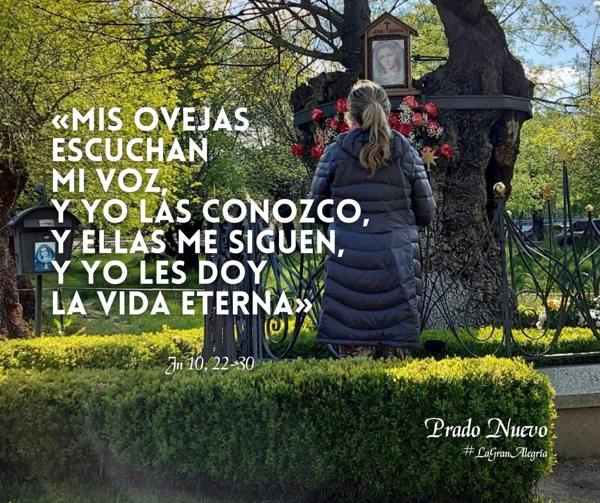 «Mis ovejas escuchan mi voz, y yo las conozco, y ellas me siguen, y yo les doy la vida eterna» (Jn 10, 22-30). 

#LagranAlegría.

#EvangeliodeHoy #EvangeliodelDía #Martes #23deAbril #Pascua #PradoNuevo #ElEscorial #Madrid