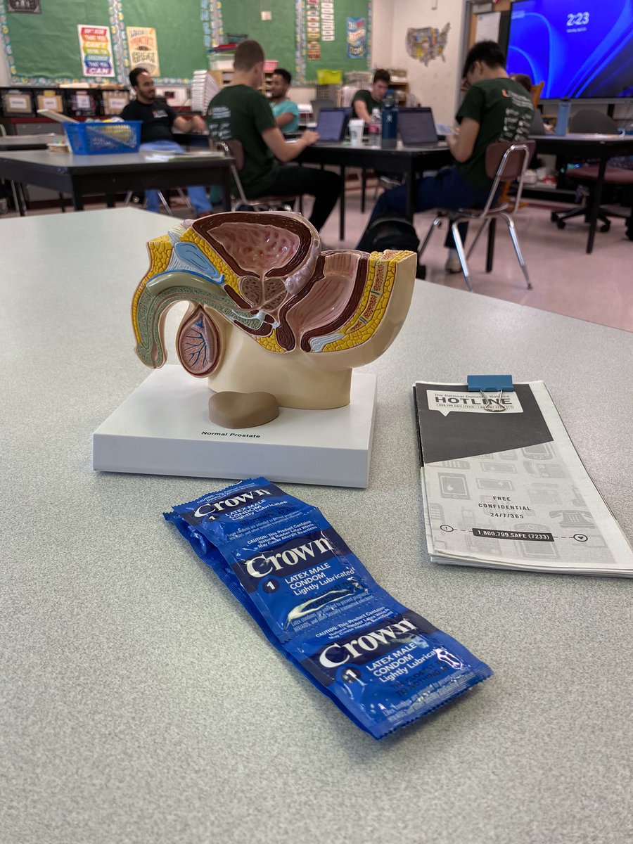 Max Sandler tweet media