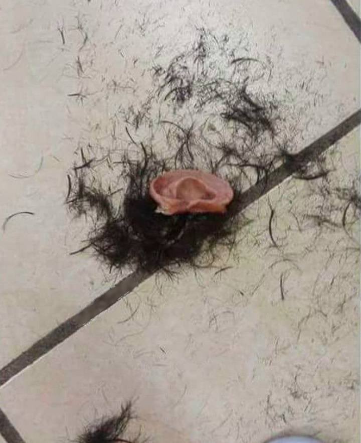 Never ask your barber for “The Van Gogh”