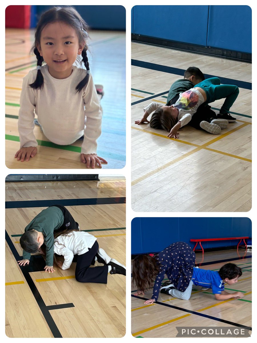 In PHE, <a href="/HTSKindieB/">Kindergarten B🍎</a> ‘s been having a blast! Chat with them about their balloon striking and Bridge Tag escapades! 🎈🏃‍♂️<a href="/HTSRichmondHill/">HTS Richmond Hill</a> <a href="/HTS_MsHashimoto/">Rachael Hashimoto (She/Her)</a>