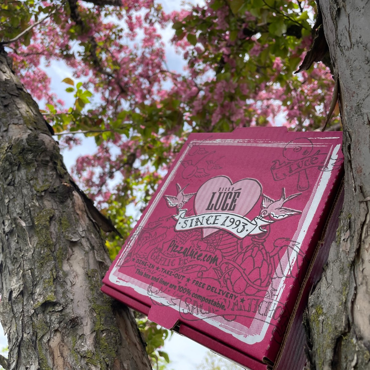 Keep lending a hand to Mother Earth by composting our pizza boxes! And soak up the best planet out there. Happy Earth Day! #hugatree #compostyourpizzabox #happyearthdayeveryday
