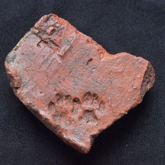 positive side of X 🌞 tweet media