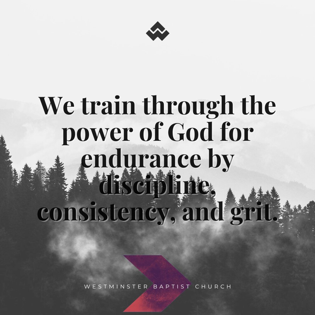 We train through the power of God for endurance by discipline, consistency, and grit. How are you going to endure?  𝙹𝙴𝚂𝚄𝚂 𝚂𝙴𝚁𝙸𝙴𝚂 ◀ ＨΞＢＲΞＷＳ ▶  Hebrews 10:36 #discoverwbc #gathergrowgo #carrollcountymd #westminster #westminstermd #makingdisciples #jesusseries