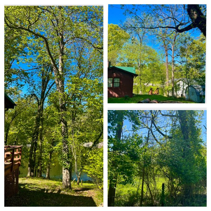 Happy Earth Day to all of it's  inhabitants 🫶 I spent mine exploring nature (in between caring for my<a href="/tag/earthday"class="tags"><span>#earthday</span></a>