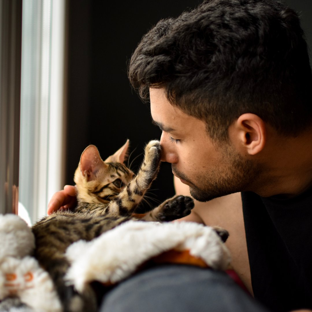 petfriendlyio's tweet photo. No more pet travel puzzles.

Tired of guessing if your next vacation spot will welcome your four-legged family member?

At @petfriendlyio, we've sniffed out and verified every rental to ensure they're as pet-loving as we are.

Travel with confidence and cuddle with ease. https://t.co/r8x8U8XE7L