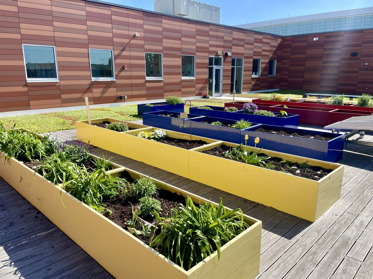 Ronda Janiski tweet media