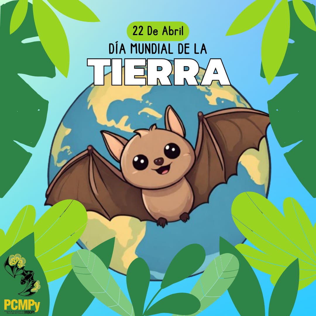 mbopipcmpy's tweet photo. 📅 Hoy recordamos el día de la madre Tierra, que alberga una variedad de ecosistemas que sustentan todas las formas de vida de la Tierra.
📌La salud del planeta y de sus habitantes depende directamente de la salud de los ecosistemas.

 ♻️ ¡Cuidémosla! ♻️
#PCMPy https://t.co/iwtMLSLW2S