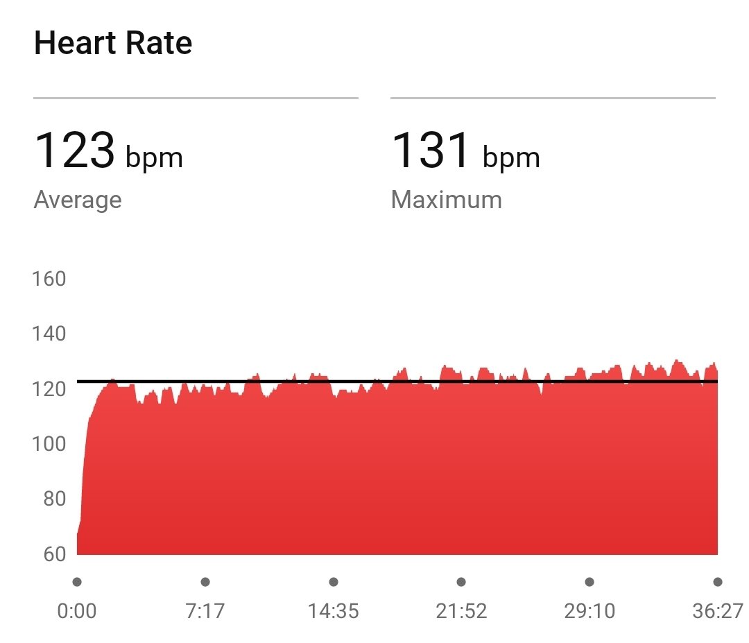 Violet Krueger tweet media