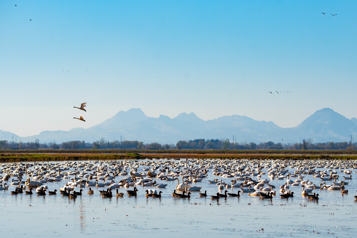 Happy #EarthDay! Today, we celebrate our amazing planet and are reminded of the need to protect it. From reducing #CAwildfire in our headwaters, to maintaining flows and restoring habitat in the lower #YubaRiver, we are deeply committed to the stewardship of our entire watershed!