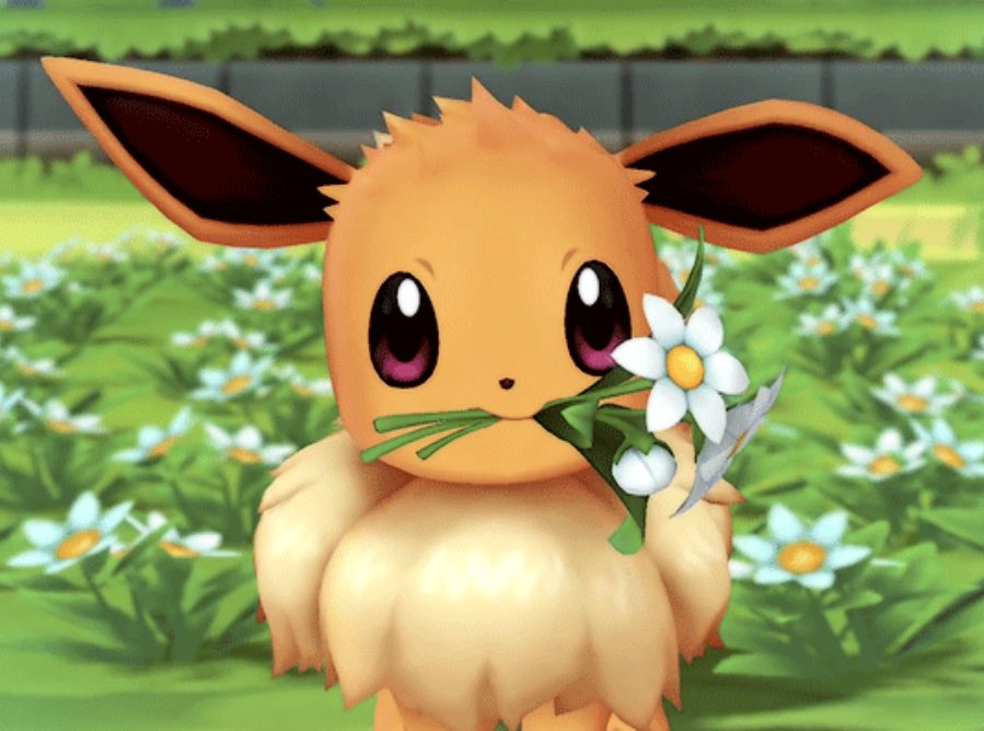 PokemonGems's tweet photo. Eevee offers you a flower https://t.co/osWvM1MH1e