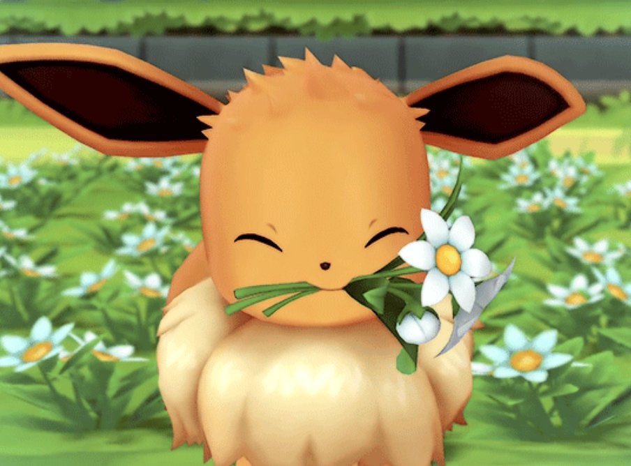 PokemonGems's tweet photo. Eevee offers you a flower https://t.co/osWvM1MH1e
