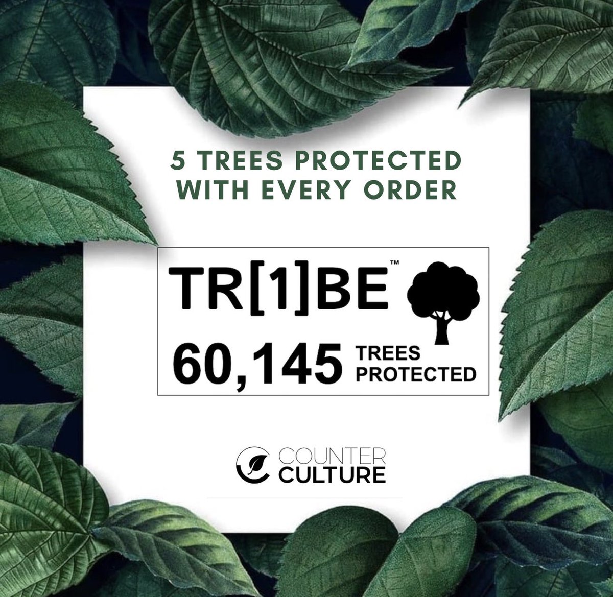 Counter Culture Store tweet media