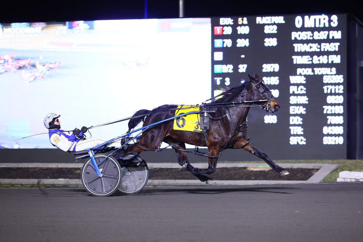 Monday Night | 👀 @TheRacewayWFD ⏰| 5:50 p.m. ET 🔢| 10 Races 💵| $10K Guaranteed Early Pick 5 @WoodbineSB ⏰| 7:10 p.m. ET 🔢| 11 Races 💵| $100K Guaranteed Early Pick 5