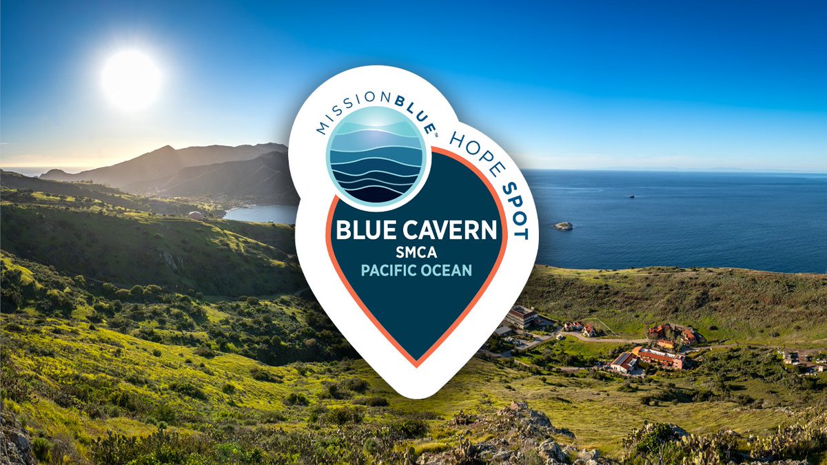 BIG NEWS: @MissionBlue has named Blue Cavern State Marine Conservation Area a Hope Spot in recognition of what @SylviaEarle describes as “an example of the successful steps society has already taken to protect ocean ecosystems.' dornsife-wrigley.usc.edu/news/wrigley-m…