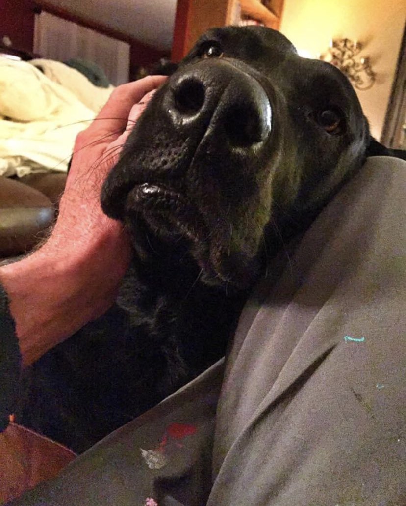 welcher7's tweet photo. @JebraFaushay Had to have my girl put down today too… best girl https://t.co/lk7vFdeMd2