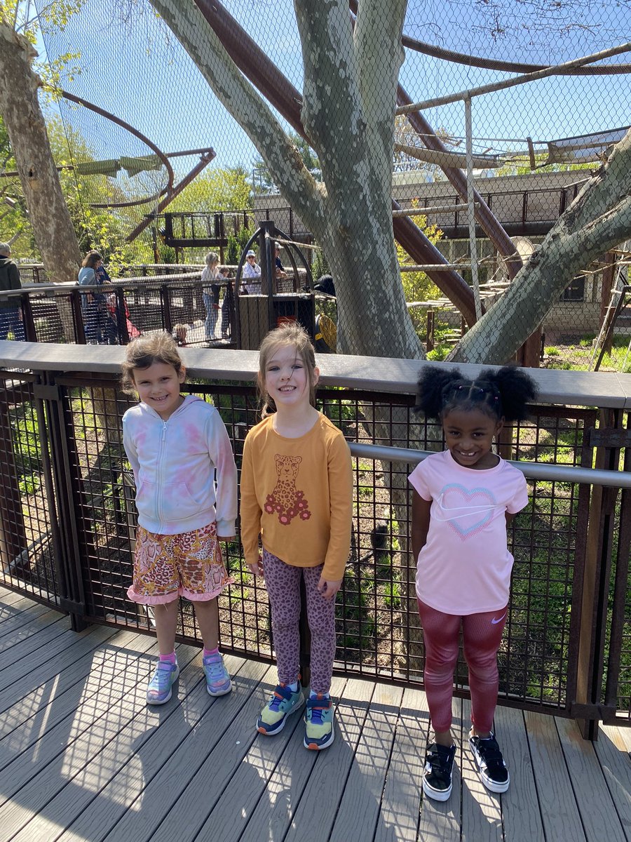 Kinder_Dogs's tweet photo. Thank you to all the parents and grandparents that joined us at the zoo! It was a beautiful day!🦓🐘🦁🦭 https://t.co/wyocGW2fWx