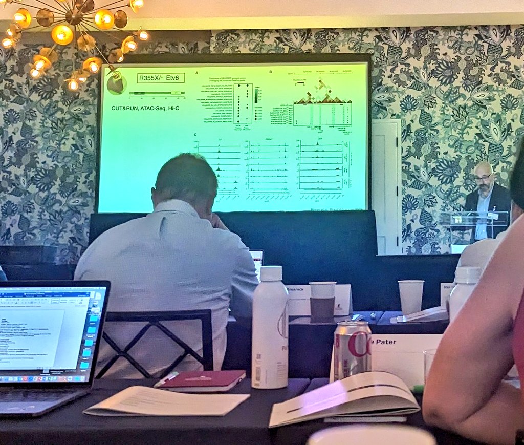 ninadoak's tweet image. Not a bad venue for very exciting science at the St Jude Transcriptopathy conference. Always cool to see your figure featured in a leading speaker's talk!