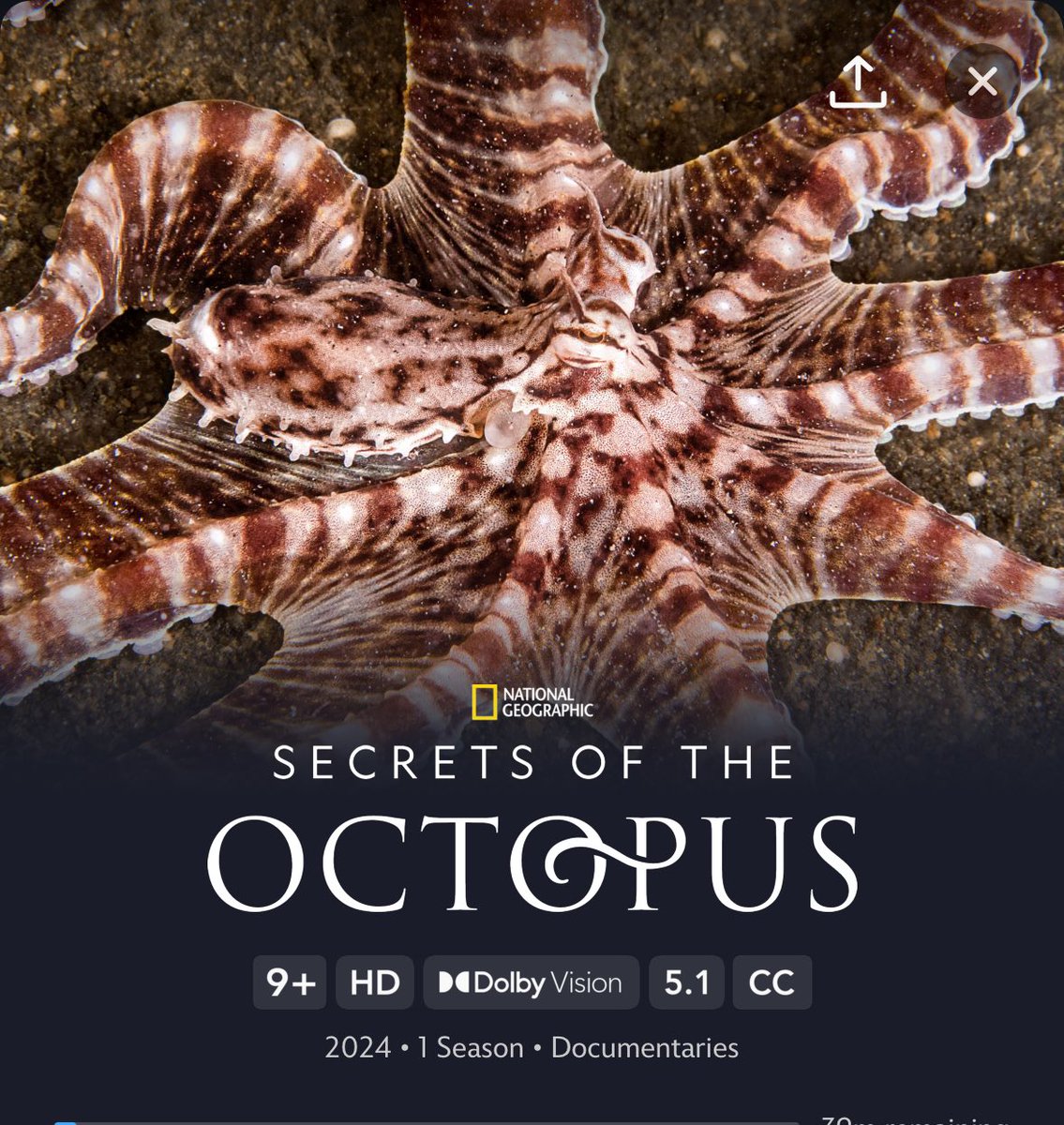 Well I was going to get an early night. But just saw this on @Disney_UK so guess that's out the window. 

#octopus #SecretsOfTheOctopus