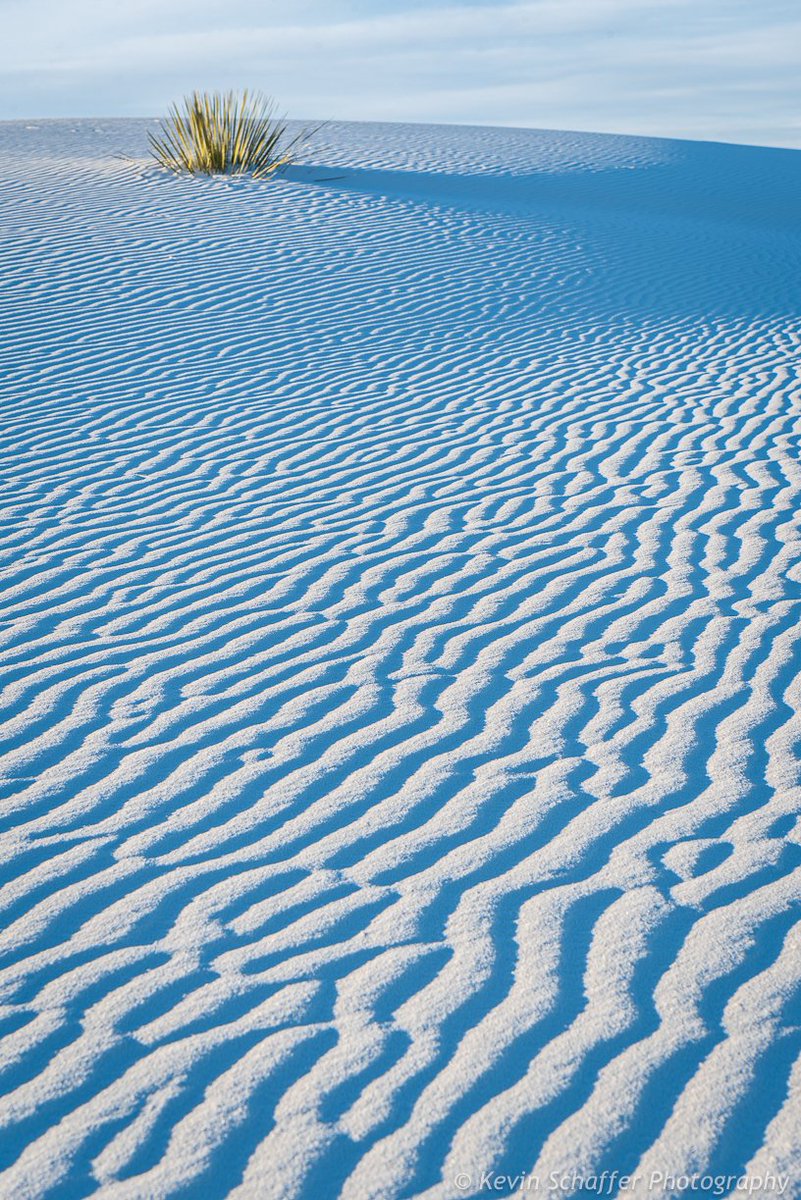 Since today is #EarthDay2024 I thought I'd share some pics from one of my favorite places on Earth, White Sands National Park.