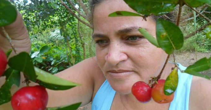 No Dia da Terra celebramos o trabalho de corajosas pessoas que se colocam em risco lutando por um planeta onde as pessoas possam prosperar. A @hrw homenageia e agradece a corajosa Osvalinda Pereira por nunca ter desistido de proteger a Amazônia. #EarthDay hrw.org/pt/news/2024/0…