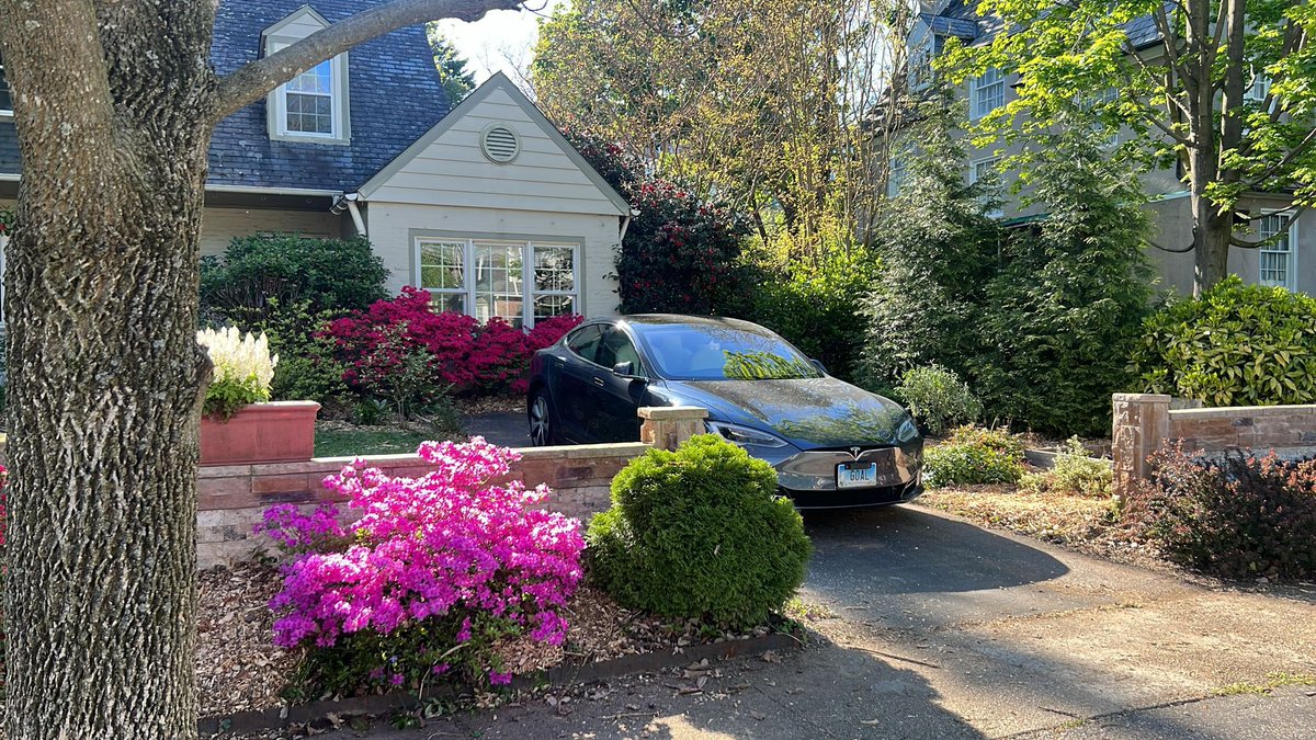 Vibrant spring colors springing back in our garden and a lovely northeast day