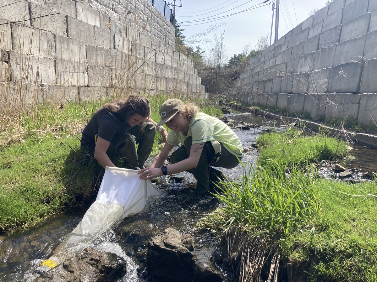 EcoStoich_Cooperative106161 tweet media