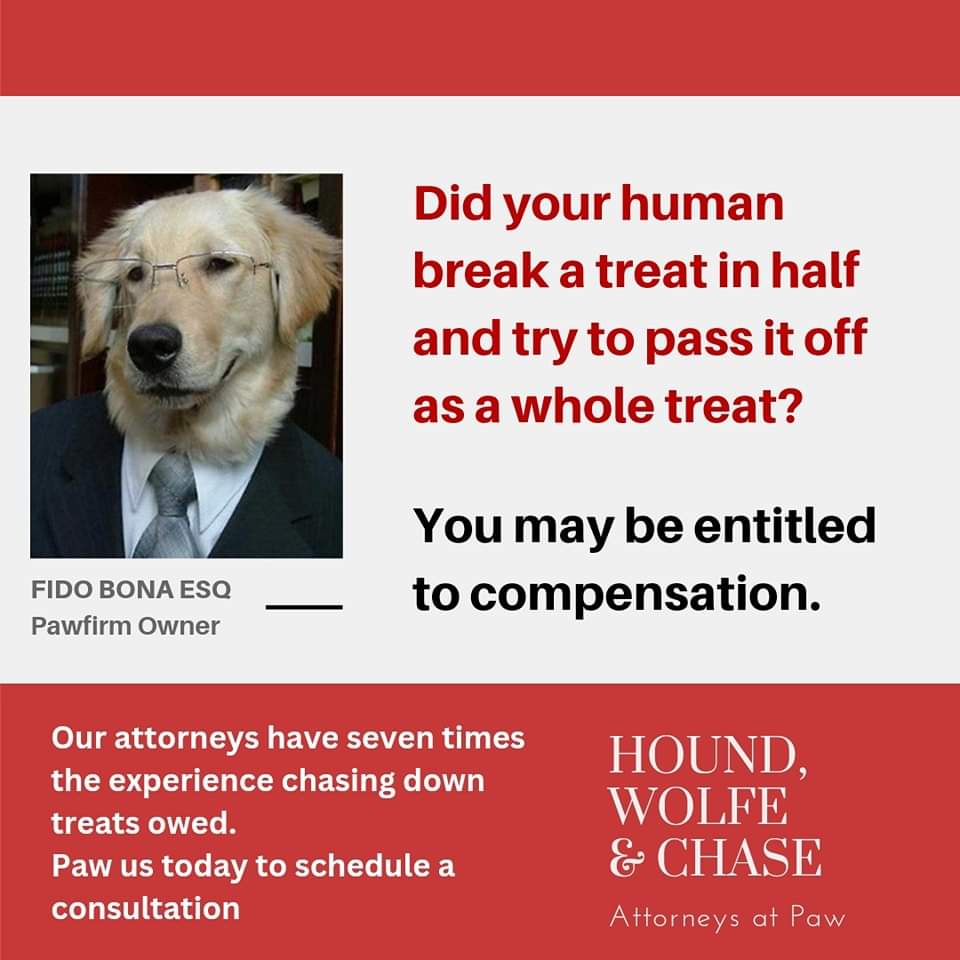 @dog_rates Call the Dog Lawyer for Compensation!