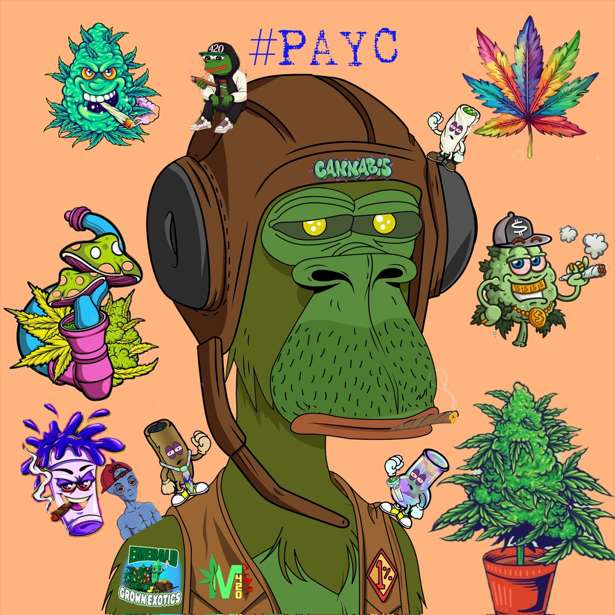 @PepeApeYC and friends coming to chill whats the vibes #payc #EarthDay #EarthDay2024