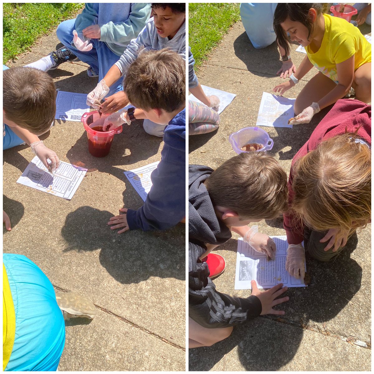 Joy Druley tweet media