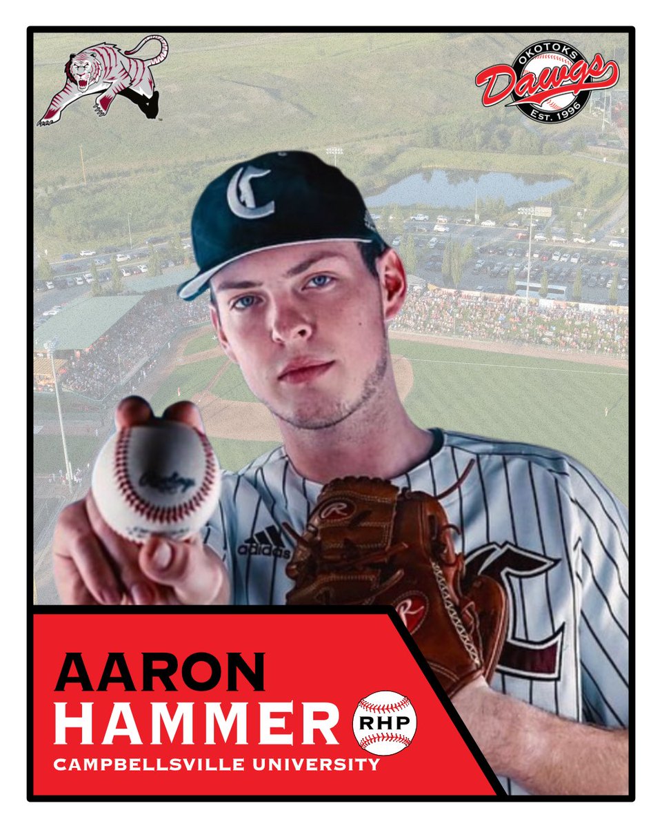 Please welcome Aaron Hammer (RHP, Campbellsville University) to the 2024 Dawgs! Hammer is currently at Campbellsville University (NAIA) in Kentucky. In 13 appearances, Hammer has pitched 14.2 innings with 14 strikeouts. Welcome to Okotoks, Aaron! #dawgs #WCBL #signed