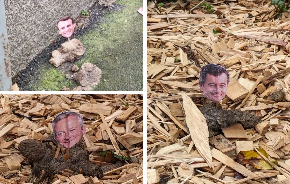 CerfiaFR's tweet photo. 🇫🇷💩 Plusieurs habitants de Rennes ont découvert des portraits d’hommes politiques français épinglés sur des crottes de chien. https://t.co/aUm0dzmmlm
