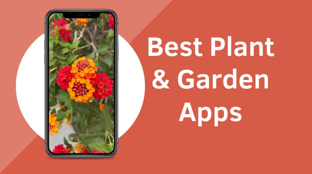 Are you a Plant 🌱 or Gardening 💐 lover? These 10 apps are game changers for you in 2023 whether you are already an expert or just starting out. Check out the list here - techgadgetscanada.com/10-gardening-a… #Gardening #Plantlover #Natureenthusiast