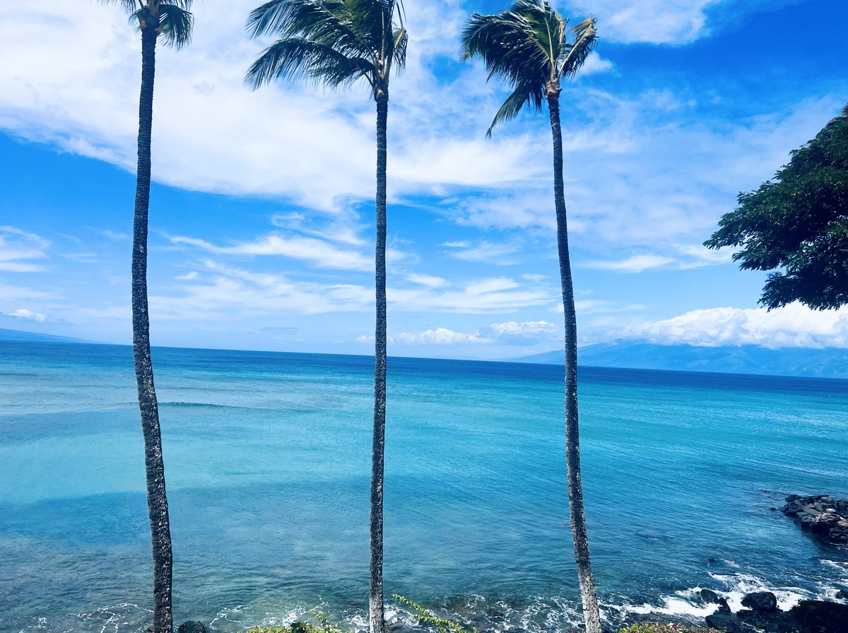 The earth is our only viable home. Protecting it is our mission. This photo is from my backyard and it shows the beauty of this earth. From my backyard to yours - happy Earth Day.