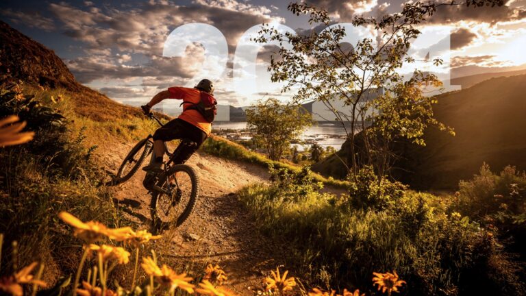 eBikes.org tweet media