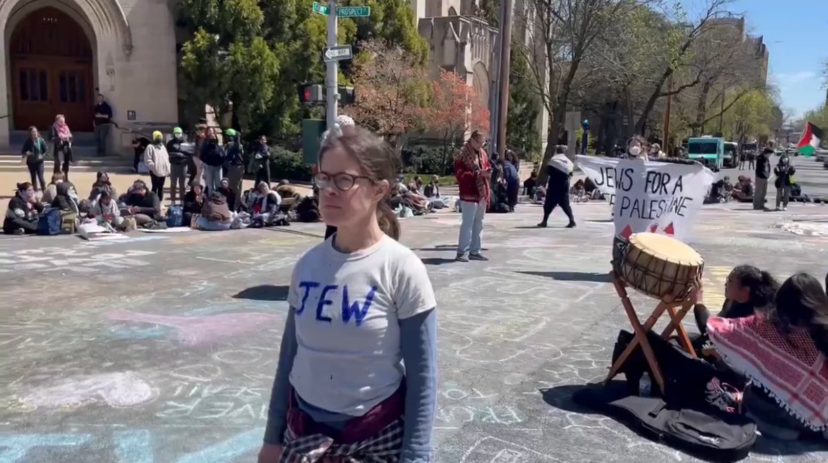 weird to argue how violently antisemitic the protesters are as you stand there with nobody around you giving a shit and a ‘jews for a free palestine’ sign directly behind you