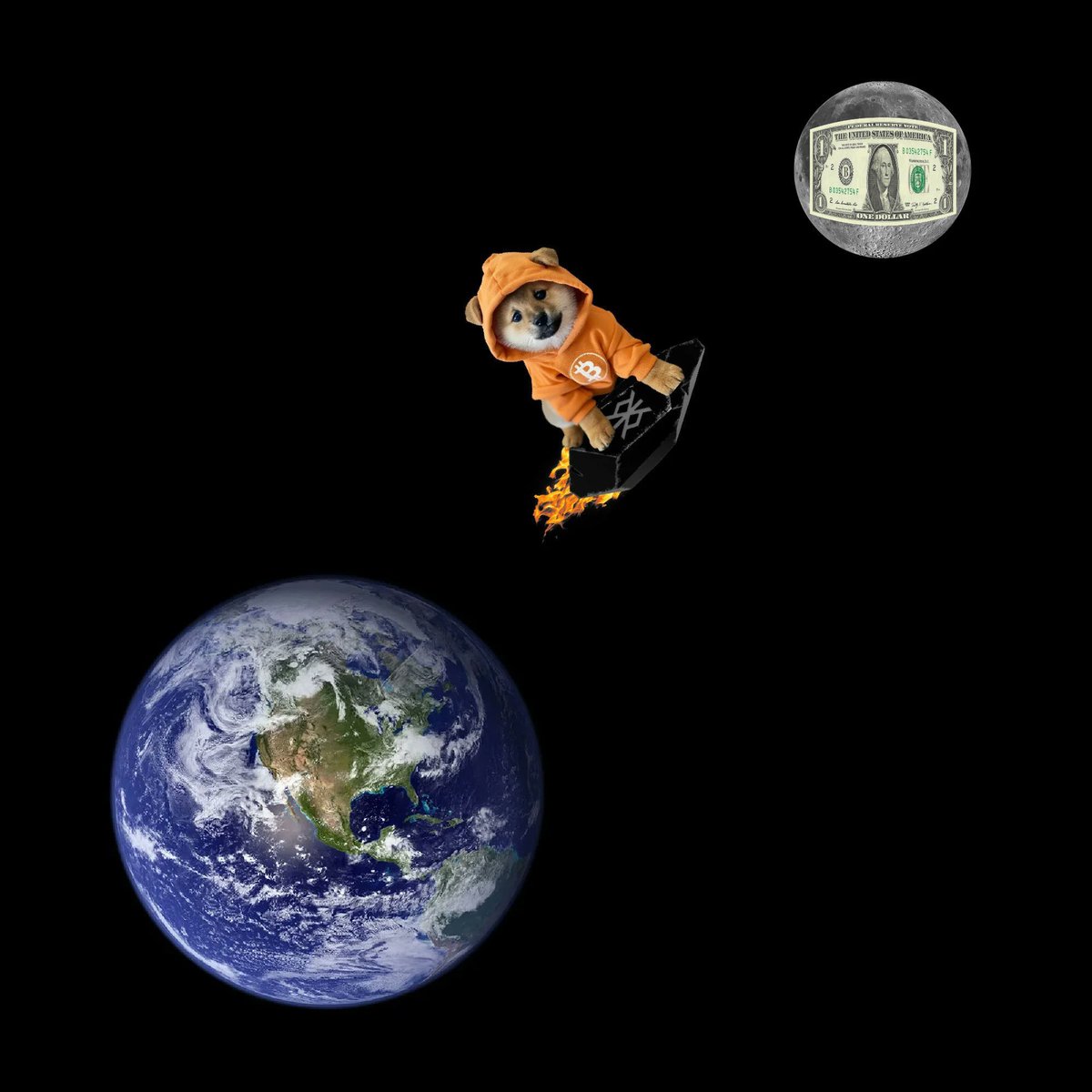 Leonidas 🧡 $DOG tweet media