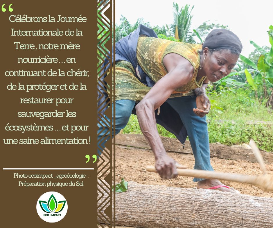 🍃 Célébrons la journée internationale de la Terre , notre mère nourricière ... en continuant de la chérir, de la protéger et de la restaurer pour sauvegarder les écosystèmes ... et pour une saine alimentation !

#EcoImpact