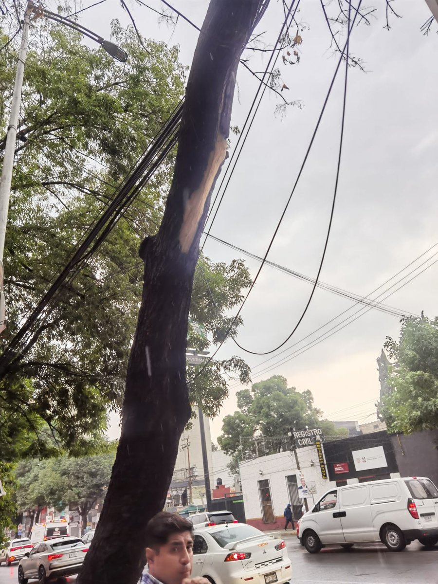 Marimar360's tweet photo. @BJAlcaldia @CFE_Contigo @CNPC_MX @SGIRPC_CDMX en patriotismo casi esquina empresa, colonia mixcoac está apunto de caerse un árbol justo frente a una escuela. favor de atender cuanto antes. https://t.co/lsxUYyAuua