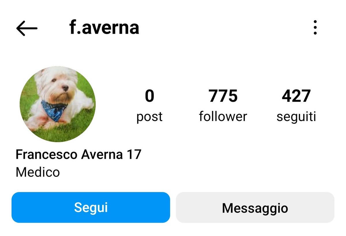 Su Instagram Matteo Messina Denaro era un medico laureato alla Bocconi che aveva come foto profilo un cane con la bandana connesso a un sacco di femmine tra cui Dua Lipa. Poi ti chiedi chi sia DeVecchys (grazie Salvo Palazzolo)