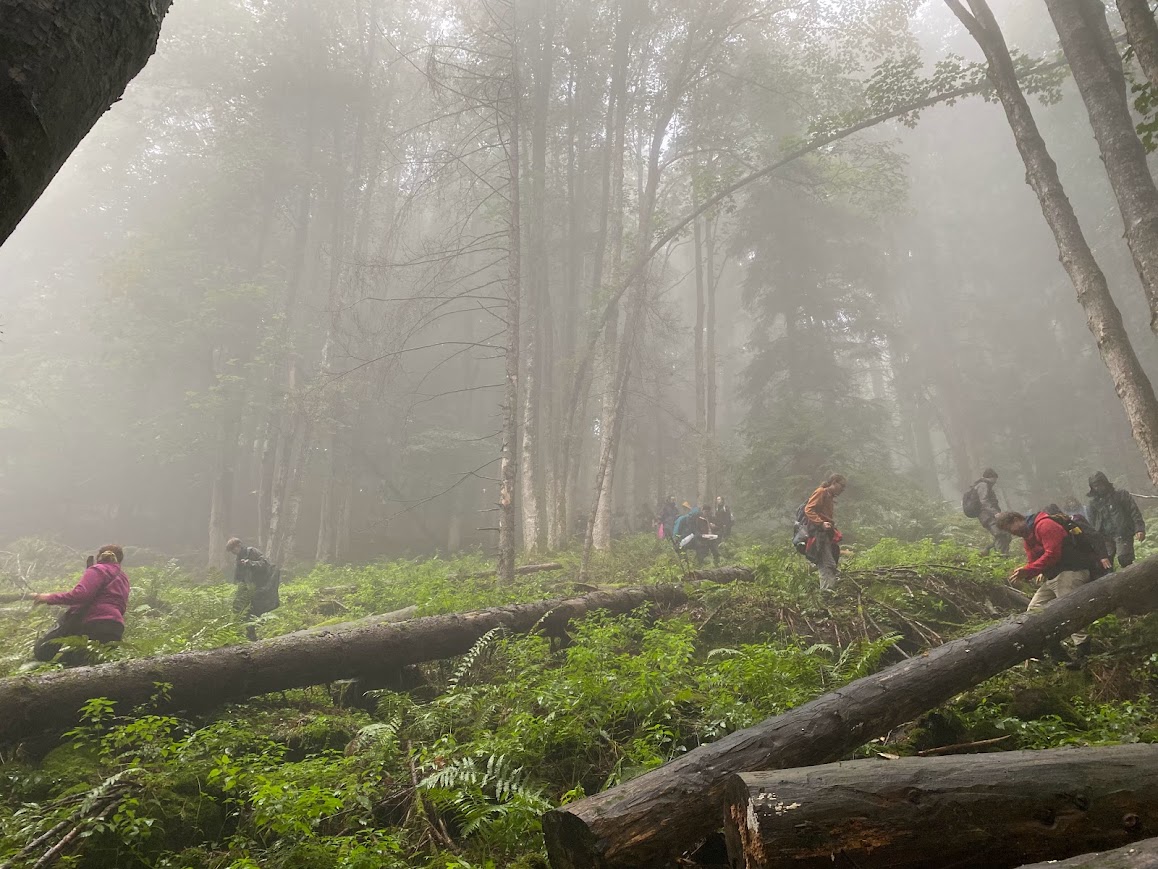 One week left to apply for a #postdoc position @IBE_Warszawa @BiolUW in the #FunDive project to engage citizen scientists in mapping fungal diversity 🍄More info: shorturl.at/tIQV6 (🇬🇧 p. 5) Apply by April 30, 2024