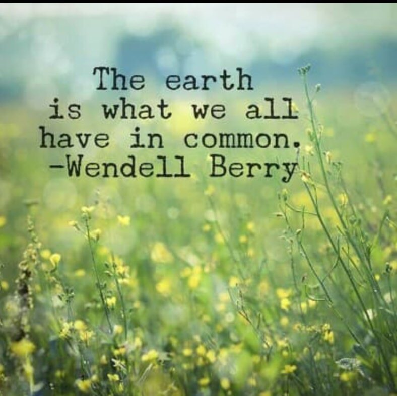 #EarthDay 💚🍃every day 🌿🦋💚🕊️🤍