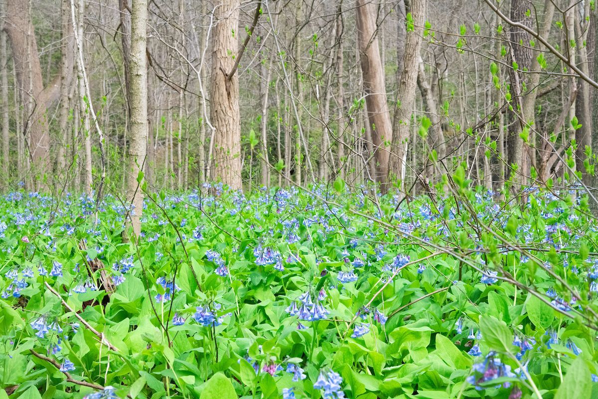 clevemetroparks tweet picture