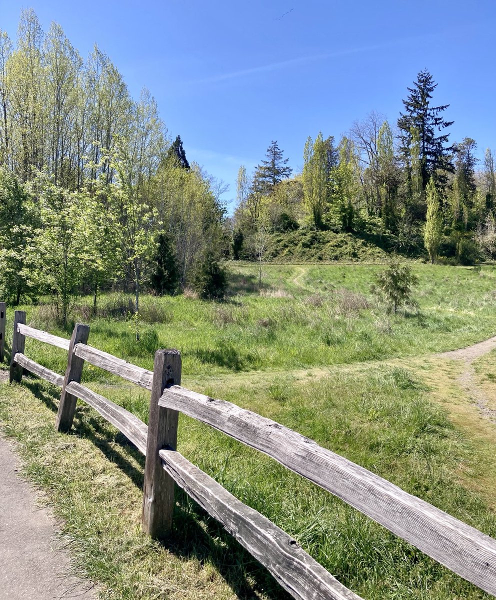 How’s your Monday going? It’s sunny and 60 in the South Sound! #pnw #lakewood #wawx #walking #getoutside