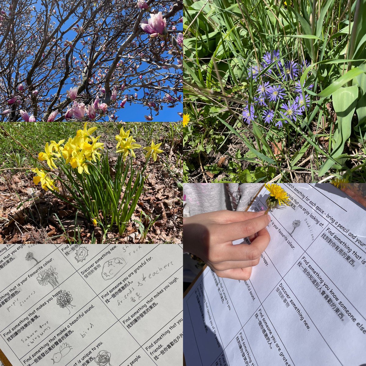 What a beautiful Earth Day spending some time outside on our gratitude scavenger hunts 🌱☀️🌷