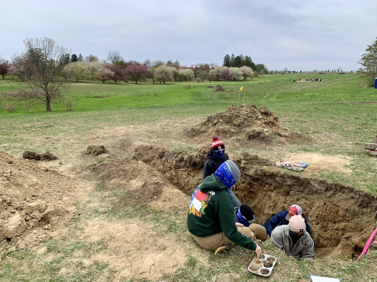 M.C. Ricker 🐲 tweet media