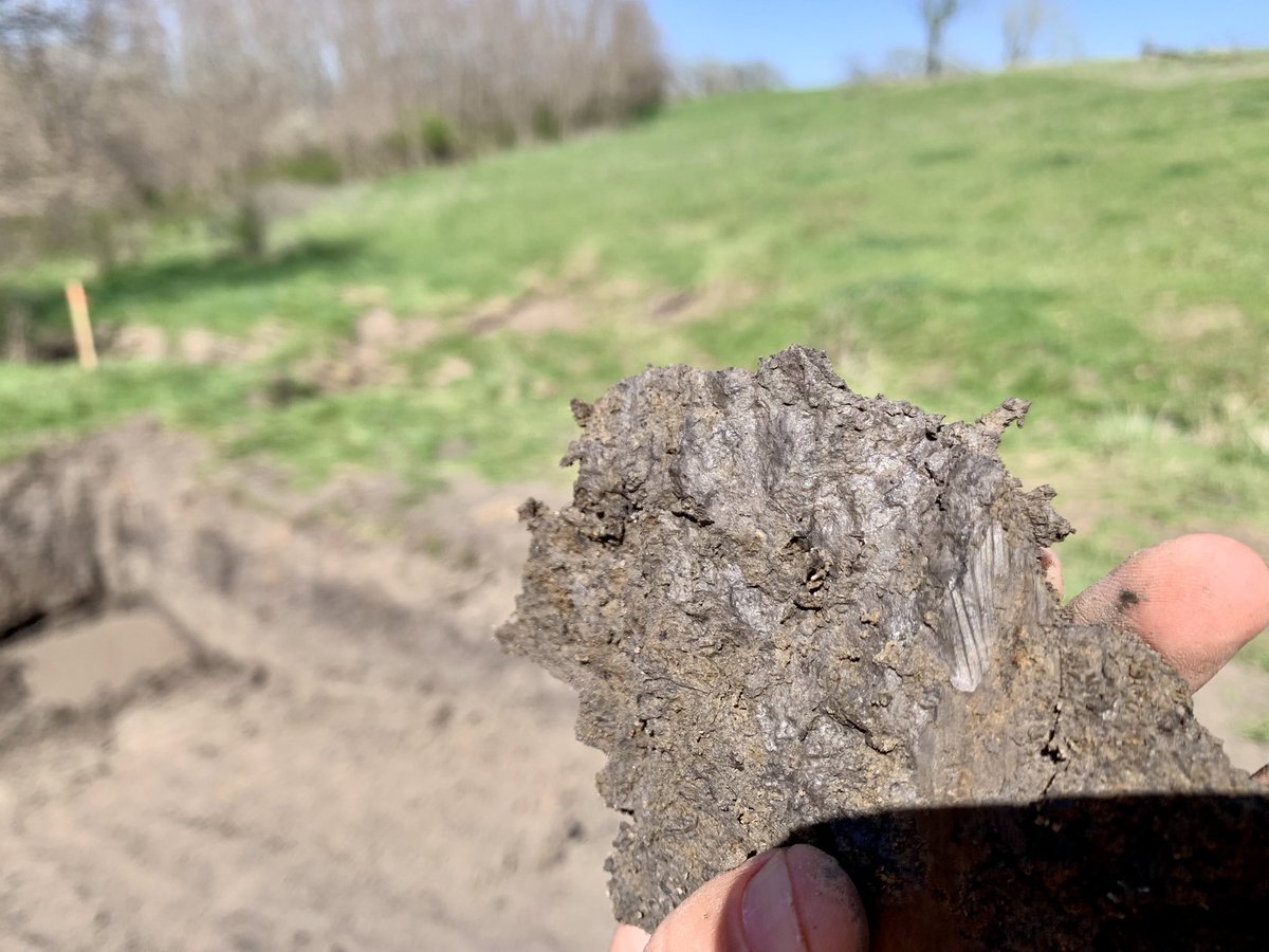 M.C. Ricker 🐲 tweet media