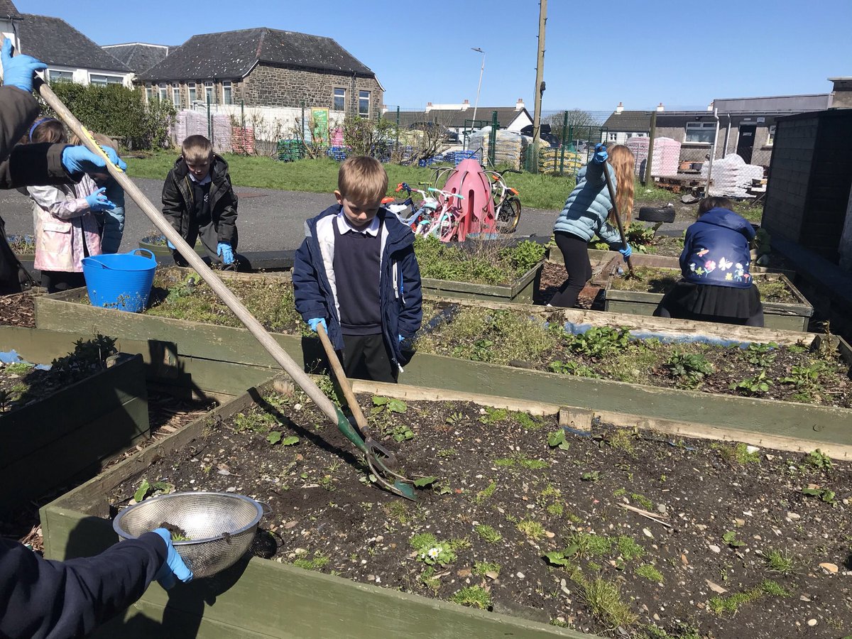 Bowmore Primary tweet media