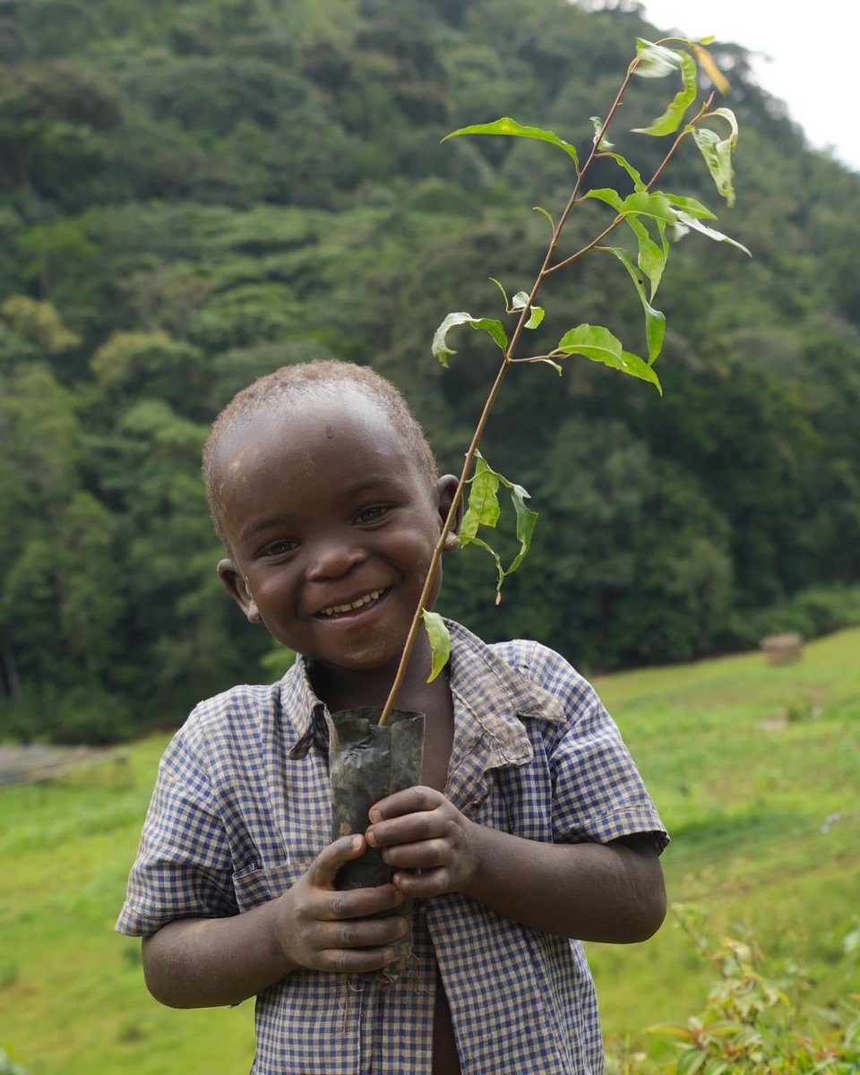 Climate Army Africa tweet media