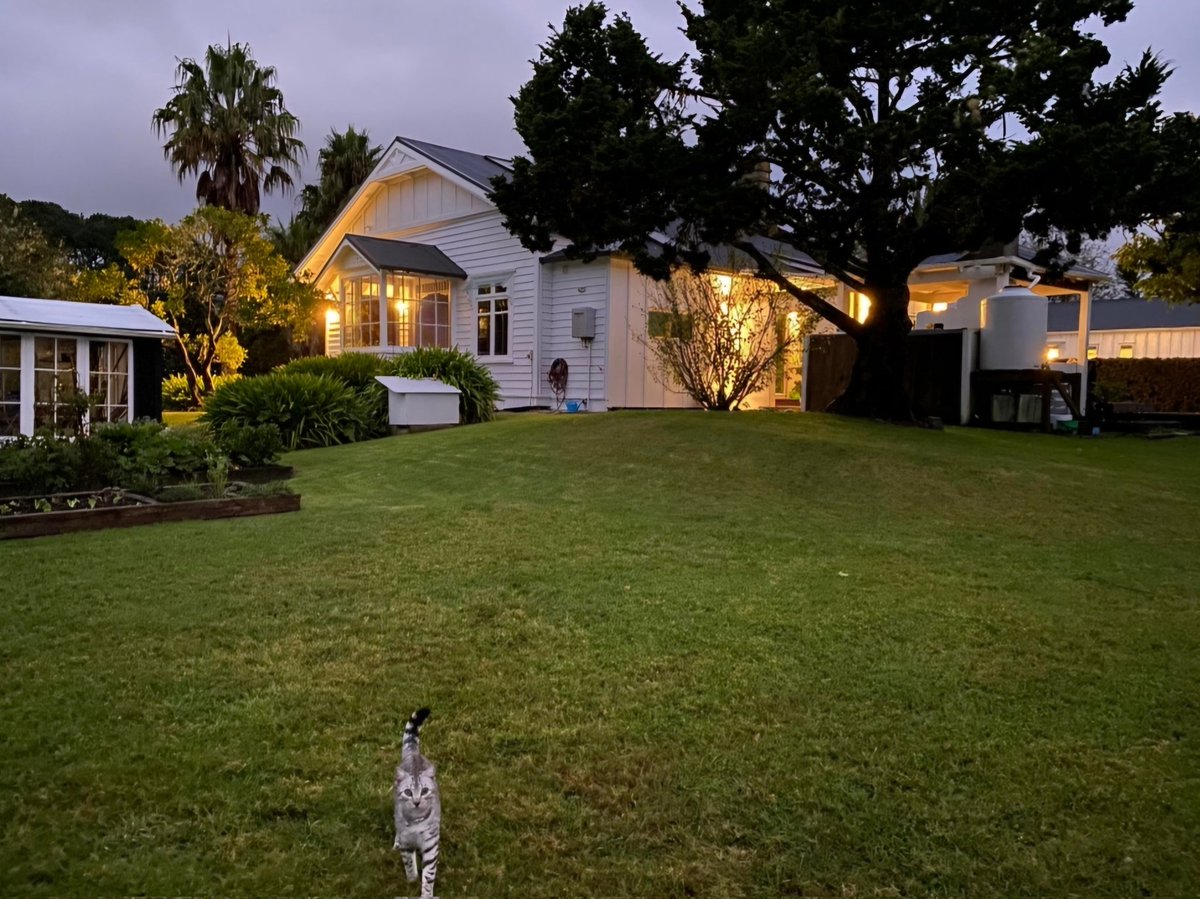 Youth in Transition tweet media